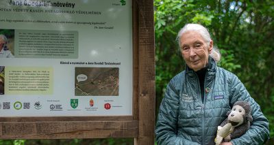 Tributes paid to conservationist Jane Goodall